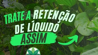 Como tratar a Retenção de Líquidos? | Planta Medicinal pra problemas nos Rins