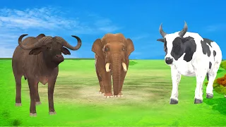 Choose The Right Door With Tire And Win With Elephant, Cow, Tiger, Gorilla Buffalo Wild Animals 2023