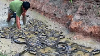 Incredible fishing without tools