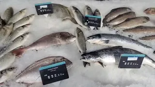 🇹🇷 Fas'ın Meşhur Balık Hali! 🐟 Karides, Çipura, Levrek ve Daha Fazlası | Bölüm 1 