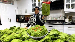 صحبتي ديستني في ٢٠ كيلو ورق عنب خزنتهم من السنة لسنه اضمن وانجح طريقه بالبيض