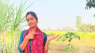 My first vlog 🙏☺️ || Aaj ham gaye apne khet pe ghumane 