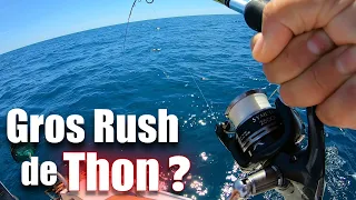Pêche du MAQUEREAU à la MITRAILLETTE & JIG + Gros RUSH de THON ?
