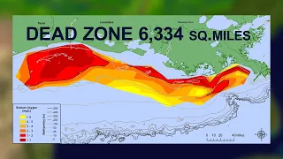 Happening Now: Dead Zone in the Gulf 2021