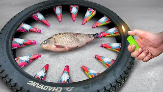 EXPERIMENT: FIREWORKS VS FISH