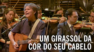 @LoBorgesOficial, @netobellottoorquestrapaganini e @filarmonicamg - Um Girassol da Cor do Seu Cabelo (Ao Vivo)