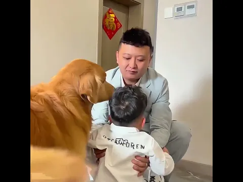 All the unfairness the dog endured finally made sense in the end #pets #cute #funny #shorts