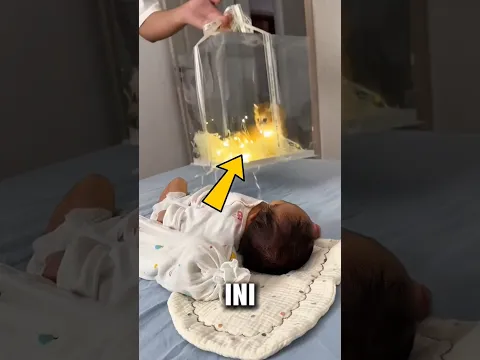 Ayah ini Ngasih Hadiah Anak Kucing Lucu untuk Anaknya yang Baru Lahir!