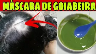 SEU CABELO TÁ CAINDO TANTO QUE PARECE QUE VAI SUMIR DA CABEÇA E TAMBÉM NÃO CRESCE DE JEITO NENHUM