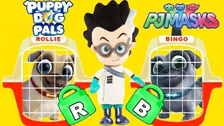 Playground Adventures with Chase & Friends | Learn ABC's for Kids