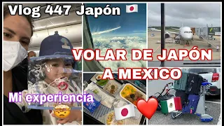VLOG 447 🇯🇵ASI FUE VOLAR DE JAPÓN A MÉXICO 🇲🇽❤️ + 19 HORAS 😳 + VIAJAR CON MI PEQUEÑO DE 18 MESES 🤯