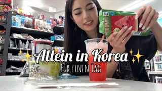 Allein in Korea für einen Tag✨🦋