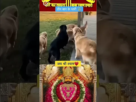 1M🥹