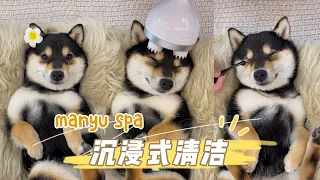【ASMR】曼玉Manyu每周Spa | 沉浸式清洁