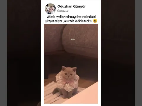 Tam ısırmalık tepki