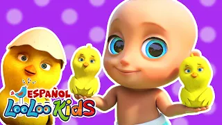 Los Pollitos Dicen Pio Pio + La Vaca Lola - Canciones Infantiles para niños - looloo kids español