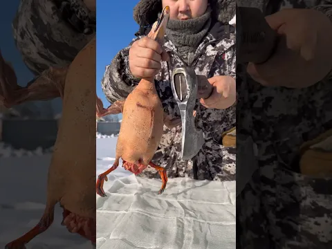Hot smoked duck😋 / Утка горячего копчения😋 Pandasakha Yakutia❄️ #permafrost #winter