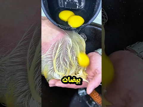 قام بعمل قصة الباندا على رأسه...و المفاجأة مع والده 🐼😂