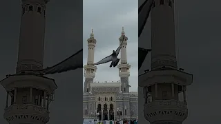 Soothing Dhuhr Adhaan by Sheikh Muhammad BaSa'ad at Masjidul Haraam | 28th Dec 2021