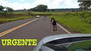 DOIS LOBISOMENS É FILMADO NO MEIO DA ESTRADA - ELES VIVEM NO LOCAL