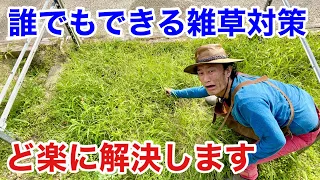 【これ植えるだけ】　草取りを楽にする方法教えます　　【カーメン君】【園芸】【ガーデニング】【初心者】【雑草】
