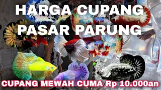 UPDATE HARGA CUPANG DI PASAR PARUNG‼️