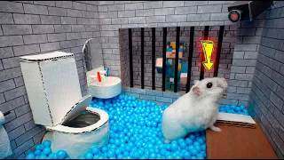 Hamster Escapes Prison Maze 🐹 Best of Hamster Adventures pets in real life 🛑Live Stream