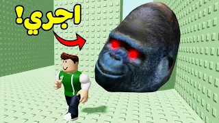 الهروب من القرد المرعب لعبة roblox !! 🐵🏃‍♂️