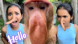 YO NO CREO QUE ESO PASE / NUEVOS TIKTOK DE LUCIANA
