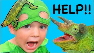 PJ Masks Gekko's NEW PET SCARY? Best Unusual Pets
