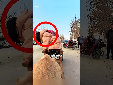 Chú chó thông minh này mỗi ngày đều đón cô bé ở trường về 🥰