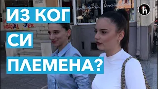 АНКЕТА - Из ког сте племена Црне Горе?