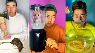 Top 5 TikTok 2022 🤣🤮