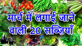 मार्च में लगाई जाने वाली सब्ज़ियाँ | March me konsi sabji lagaye | March Month Vegetable To Grow