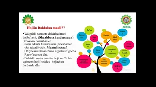 Tuutooriyaalii leenjii qophii karoora daldalaa kutaa 1 A, dhiyeessaan Abinnat Habtee bara 2015