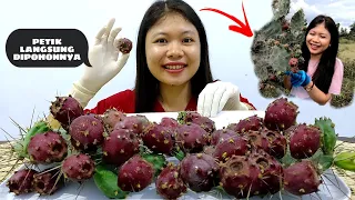 MUKBANG BUAH KAKTUS BERDURI PERTAMA KALI