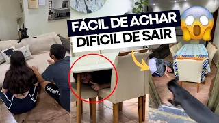ESCONDE-ESCONDE: o mais FÁCIL de ACHAR mas o mais DIFÍCIL de SAIR 😰