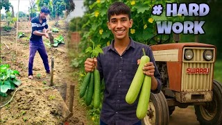 FARMING HARD WORK | BIG CHALLENGE | Villege Vlog | TRACTOR 