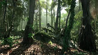 [4K] Tropical Rainforest in Unreal Engine 5 | Relaxing Cinematic Tour