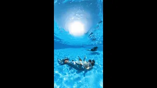 Swimming Mermaid QnA - #Teamhailey #mermaid