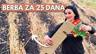 BRZI UZGOJ Povrća u KARTONSKIM Tunelima