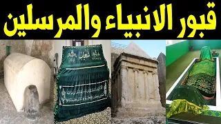 شاهد قبور الأنبياء والمرسلين ومكان دفنهم لأول مرة على اليوتوب