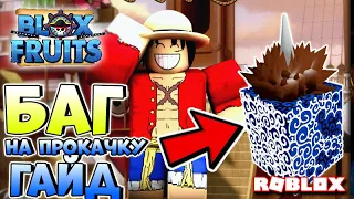 Гайд Blox Fruits  👍 Баг на прокачку в Blox Fruits . Как играть в Blox Fruits . Где взять ФРУКТ ?