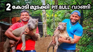 2 കോടി മുടക്കി PIT BULL വാങ്ങി