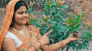 जय माता दी
