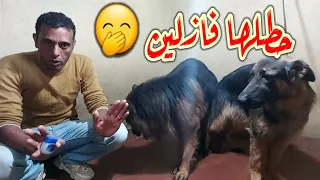 حطيتلها فازلين فى المهبل🤫اول مره تتجوز ولاقيتها بتصرخ😱كانت مرعوبه