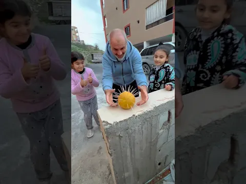 لا تحط الشوك في يدي./ماريا الحاج