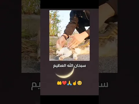 اكتب شي تؤجر عليه🤍 #قران_كريم