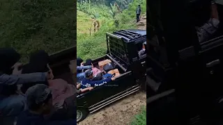 🚌 Extreme Off-Road Bus Journey: Navigating the Impossible! #ShortVideos #OffRoad #AdventureTravel🚙🚙