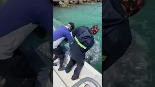 Awesome net casting for fishing live bait